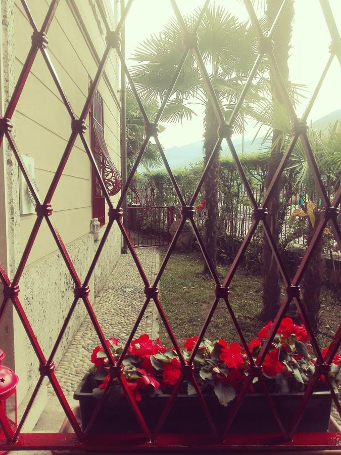 Bed & Breakfast Villa Palma Ловере Екстериор снимка